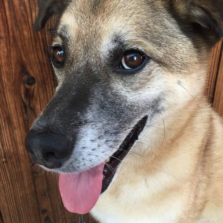 42c8467e fc98 4711 944e e5623f59a6d3