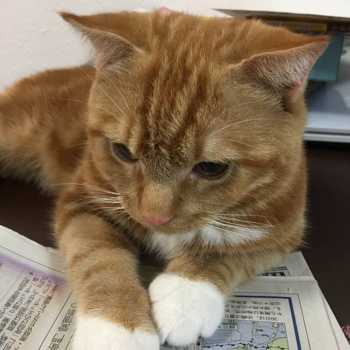 42c85e71 8416 4bba 917e 959c0cf9aee8