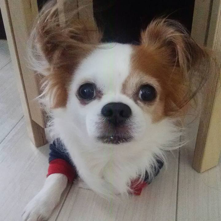 42c8cf12 3204 4c13 baed 12e010c57a74