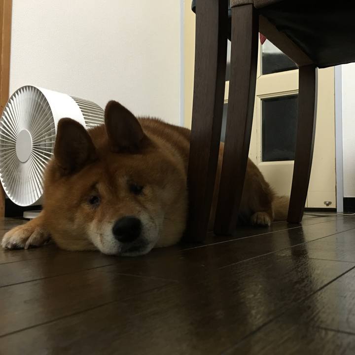 42c95109 279f 4f4e 976e 51b0c14e5f2e