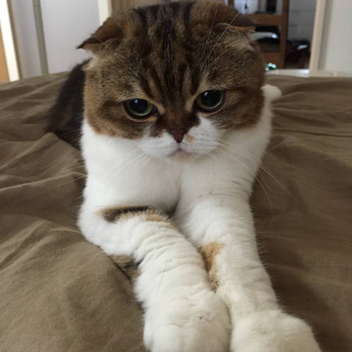 42c9fa2b f184 4b6b 992f b3e6c342b1ef