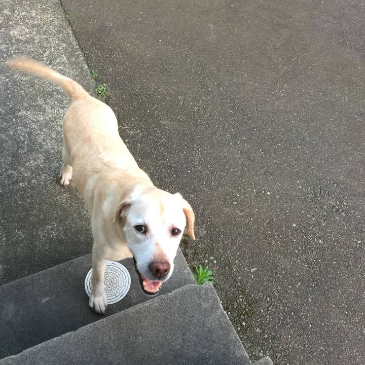 42ca2e5b 6d99 4cd8 a7f0 c1acd55aadc5