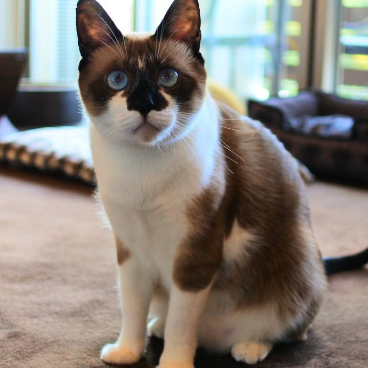 42cac087 f96e 4e1a a24d 6976f1070334