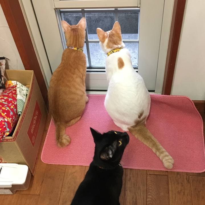 42cbea50 c432 4667 a735 ed1d55b522c5