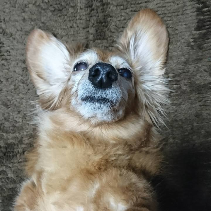 42cc32ad c844 48d7 847a e659e050f762