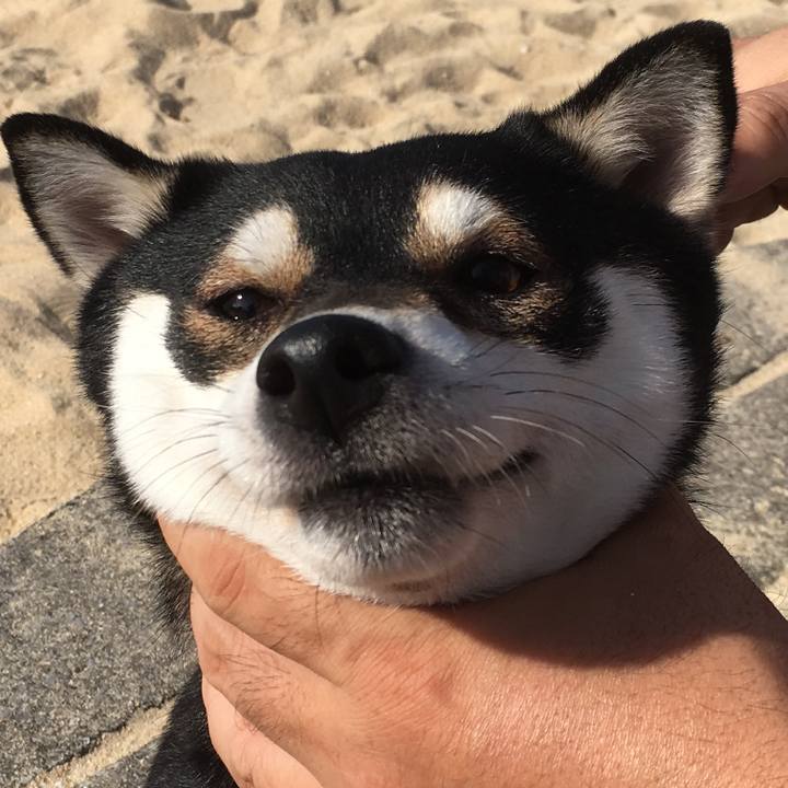 42ccb1b2 4fd9 4fdd b2aa cbf000c848d6