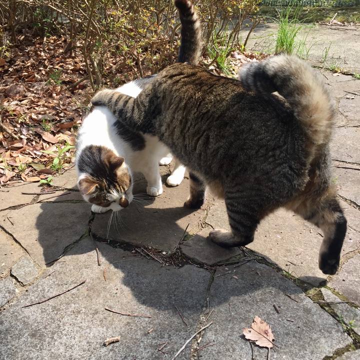 42ccf950 fc0c 47fe 8837 3db2d094f71a