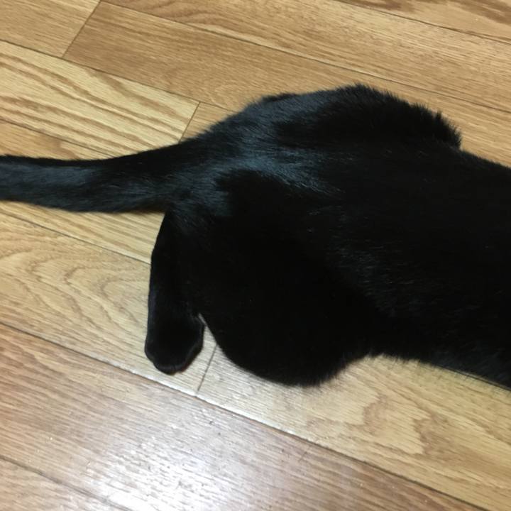 42cd1ae0 b960 465d ac6d 3cd5a6a220c7