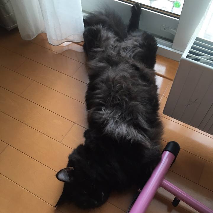 42cd63f6 4326 44c5 984a ffca42da2efe