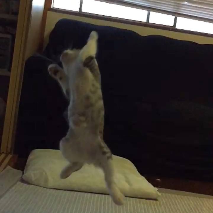 42cd94e5 12fd 450f 98ad df5438e0d33e