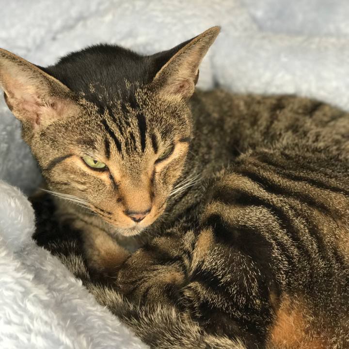 42ce0480 f2bd 4122 8156 ab9a3669d694