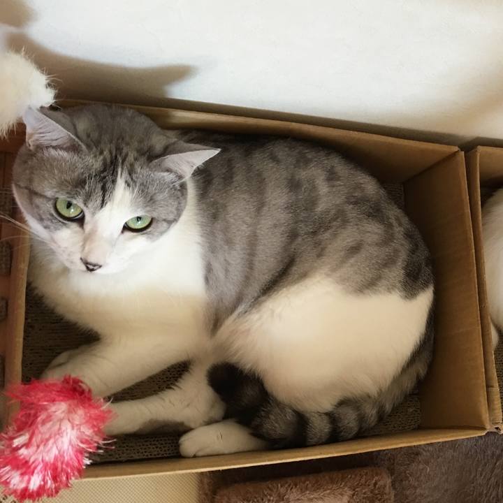 42ce06b3 7114 4236 8bf4 9beb233dd073