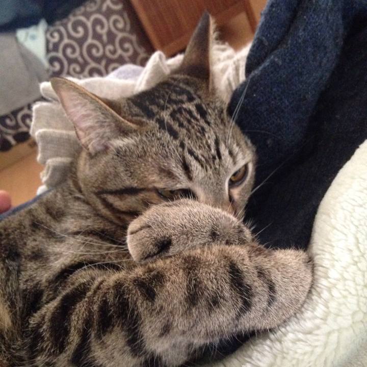 42ce0705 85b4 443a a58b 4921ae8d6386