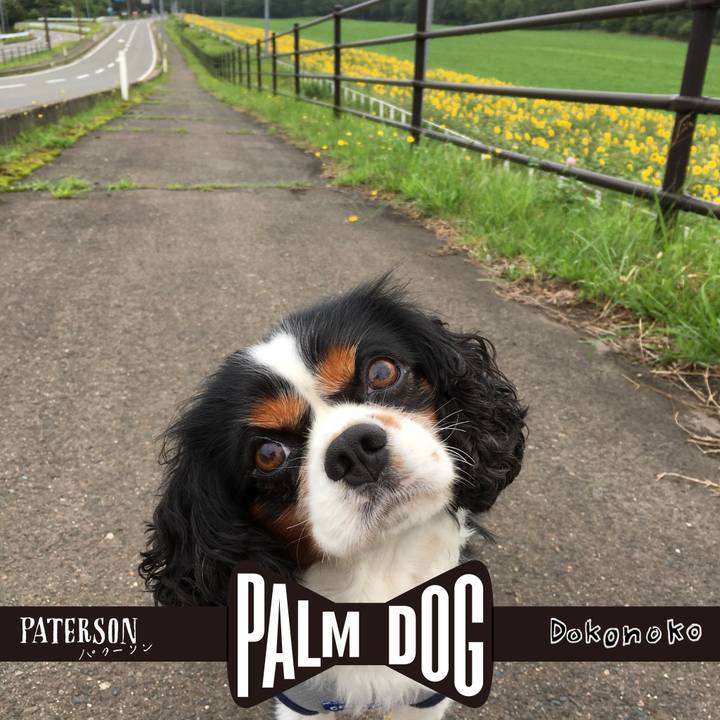 42ce2197 e6b8 42f5 a858 5774659b8cc5