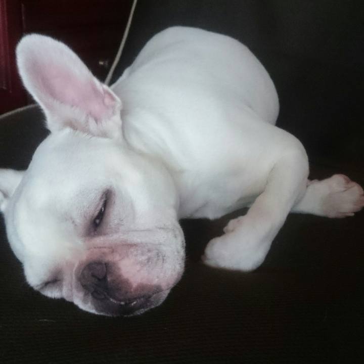 42ce6d42 5222 4f44 93ca 81bc9d365fb6