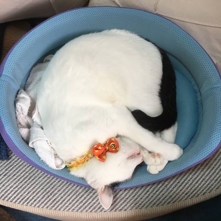 42cf054b 9d1f 4223 b8d5 9efe2d184a29