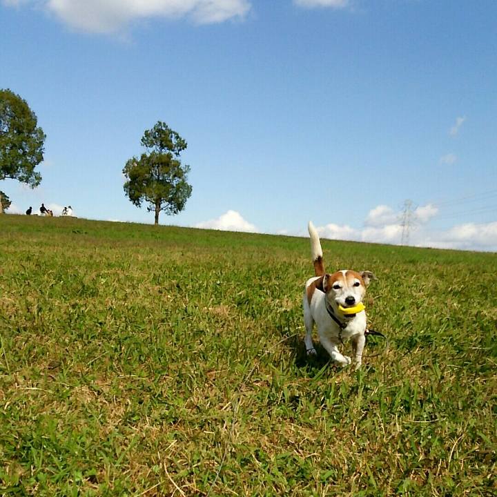 42d0af34 36d2 4ced 9aff 0699586d509a