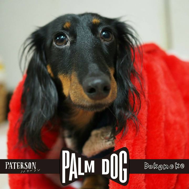 42d142f0 08ee 457b 8082 d6423c6c56d5