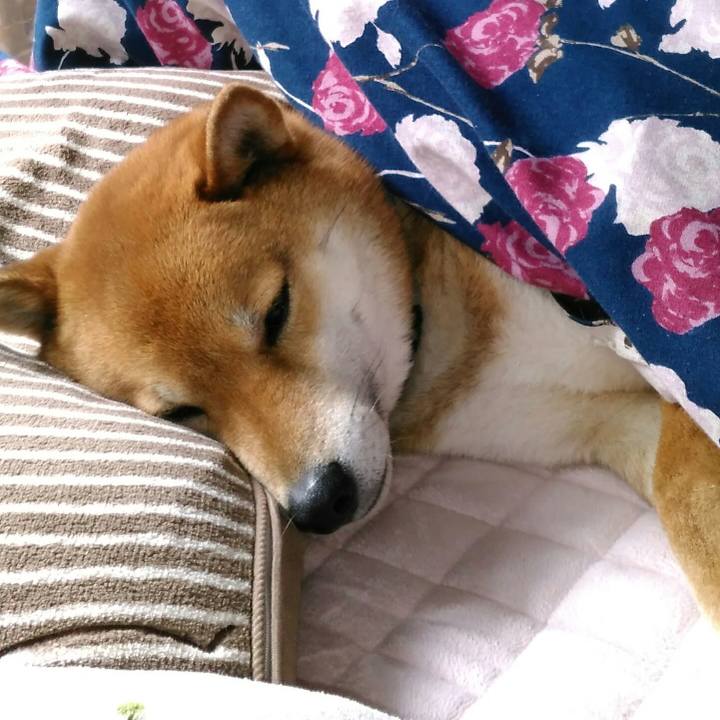 42d14d80 38fb 4775 9e6a a6854add5c0a