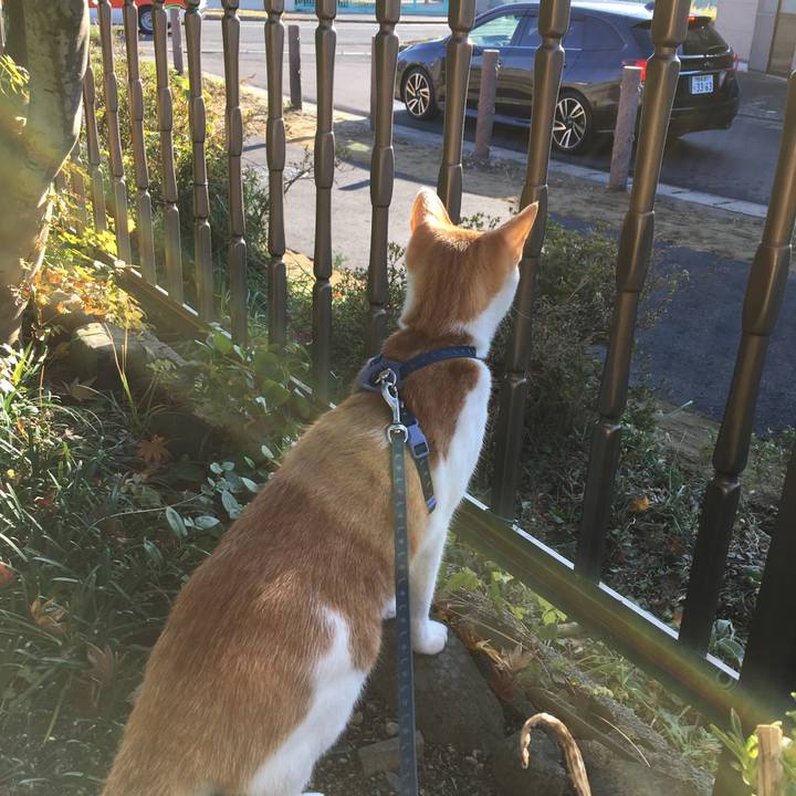 42d1c546 57a4 4f59 8cc3 c93a0c8c94ad