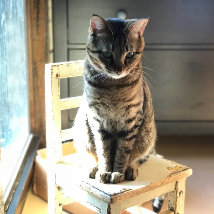 42d1dae9 a944 4aa3 9f0c 778714b94351