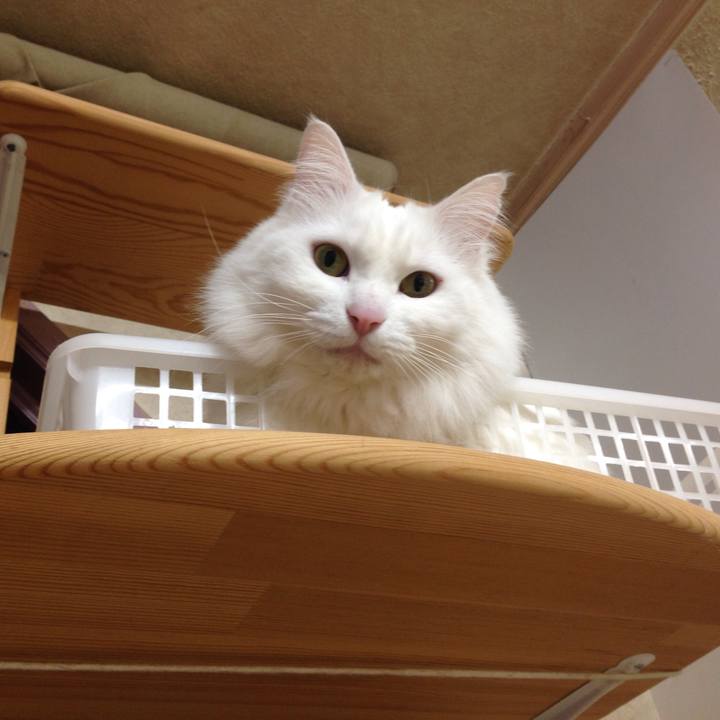 42d23fb3 a6c5 423a a887 4a4b59a2fcbe