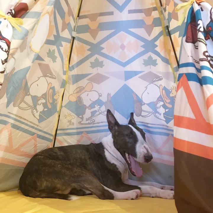 42d2b218 70bc 46da 9f29 dee9140b444d