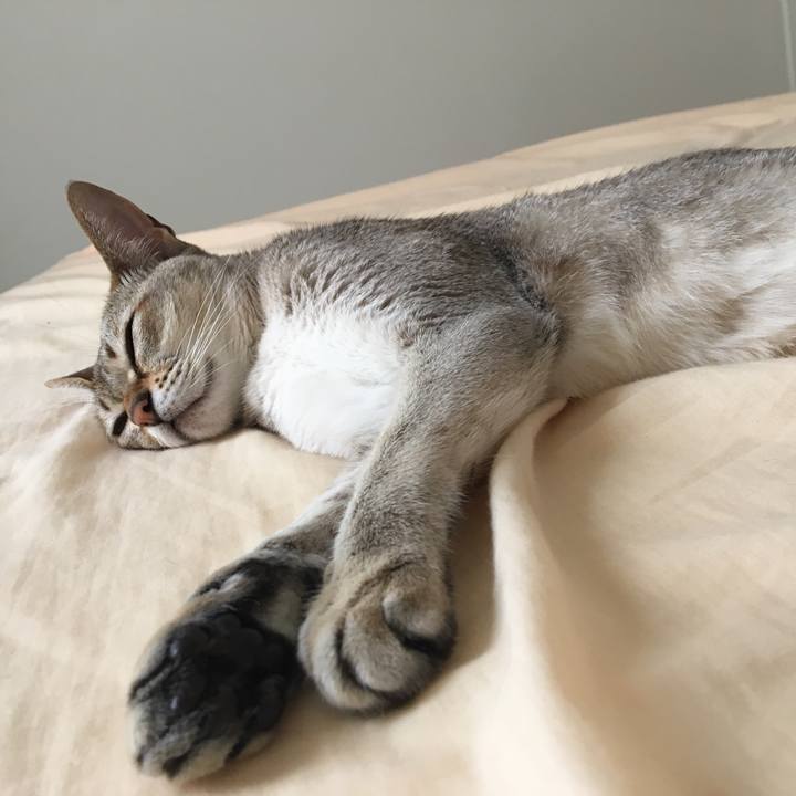 42d2ce90 2022 4381 aab0 61937a4cff0f