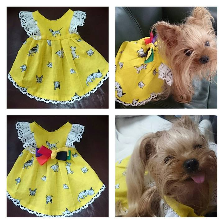 42d2d6b7 2a98 4c17 9a27 7a28385ad287