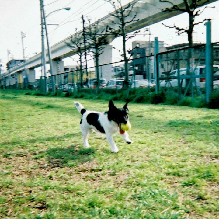 42d30017 684e 4a27 a3dd ed6335775e3c