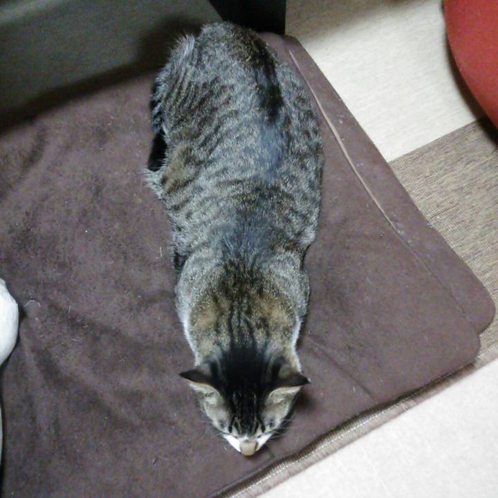 42d35aaf 669c 474f b7b4 842da281cf78