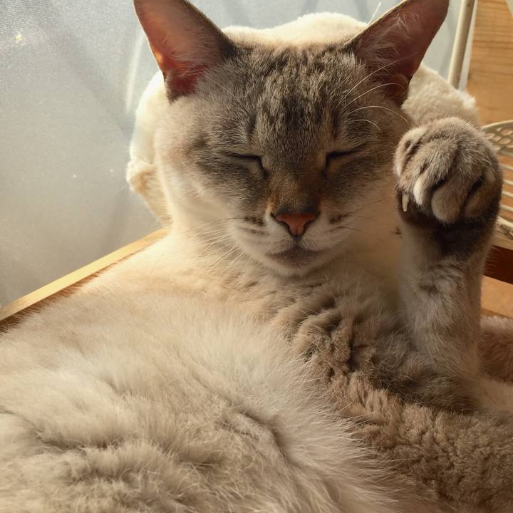 42d35d2a 3fdf 4bca a7d7 e932a747a546