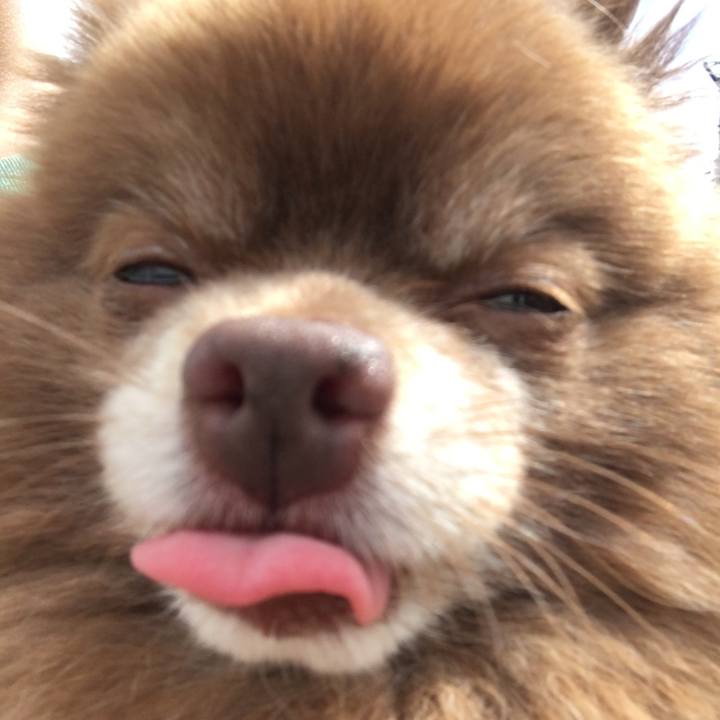 42d39e7c fb71 4899 b745 5244d0357a45