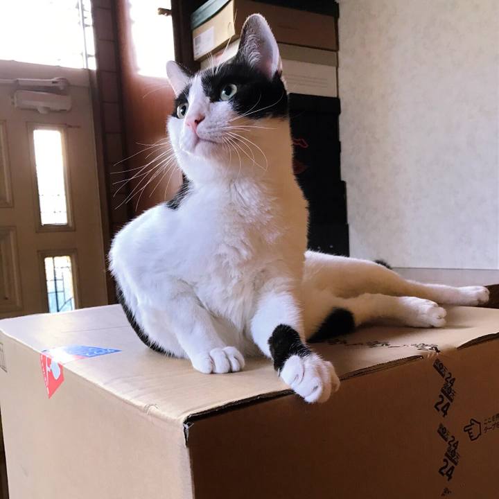 42d3acae df37 4367 8c74 4b64ec4b5fe1