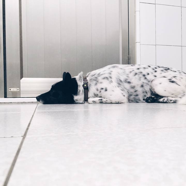 42d3f055 4638 4bae b653 963b7a5a2a27