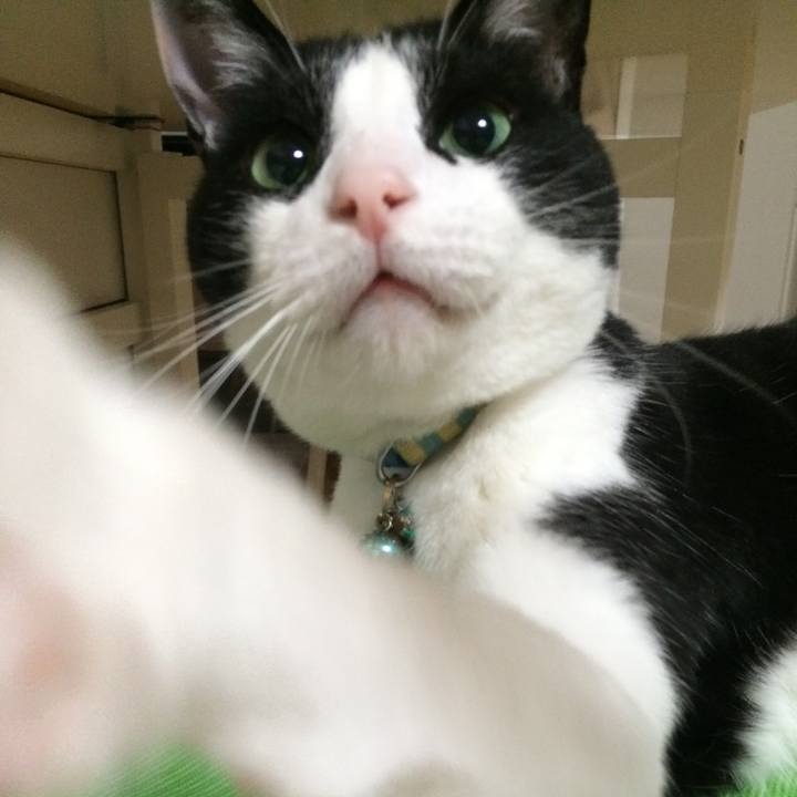 42d4a3c7 15f1 46ad b2e9 0c5227d7a5c5