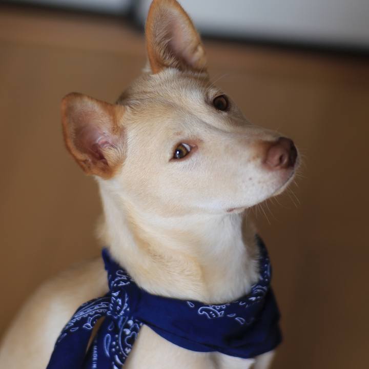 42d4e1e1 959f 47a9 b65c 18c8caa11894