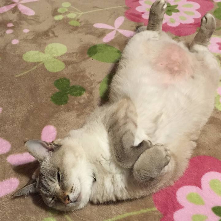 42d5800b bdfc 4402 bb75 cac5d3617f72