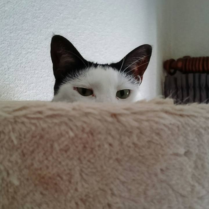 42d5b872 2d15 4f2b 8115 cbb5396f87df