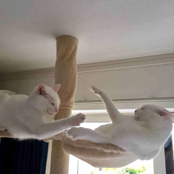 42d5f1a3 23cb 4d1f 9e8c d42d53bac3f9