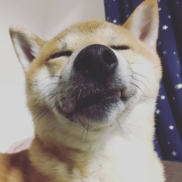 42d6fd5a 1996 4cde 910b e82278faac2e