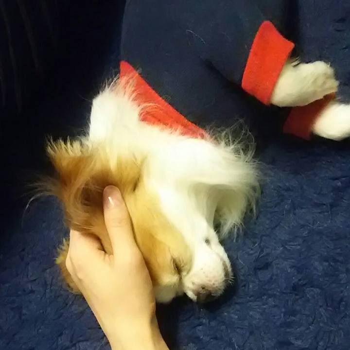 42d77765 502a 4f19 b774 a3be2cbf7323