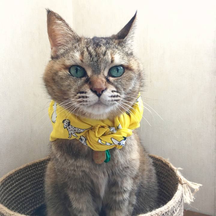 42d7b1c2 5233 40fd a3e1 6f3aeb1cf390