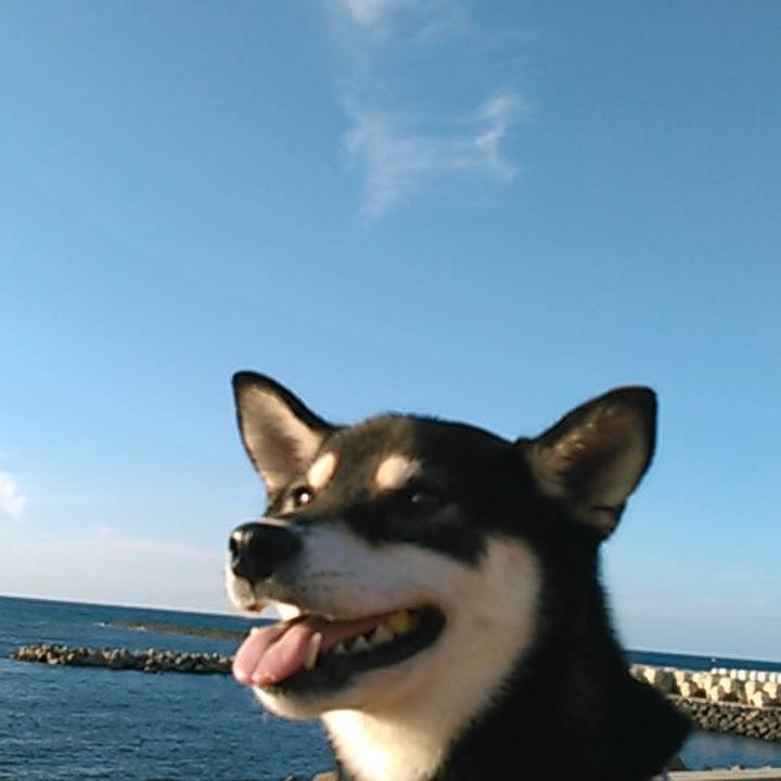 42d8176a d022 4b23 8575 885532d18dbe