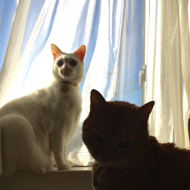 42d87da7 a037 4edd a2a2 05bab2238463