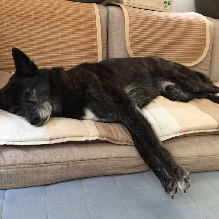 42d87ed1 eb65 4552 8999 f3e4aac122f9