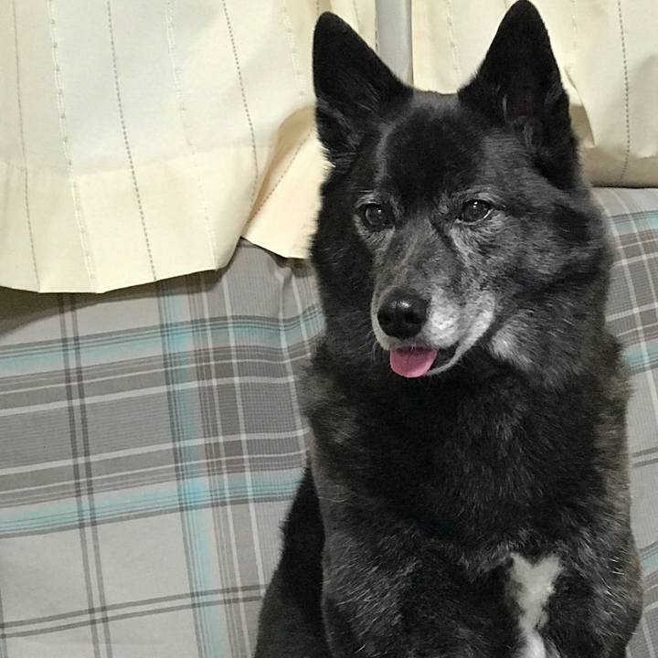 42d89b2f 7862 4156 a5d5 870c73c127d5