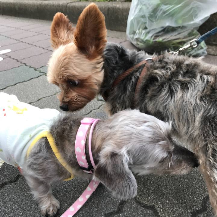 42d8ad2b e5e2 4d82 b4d6 f78423c095ec