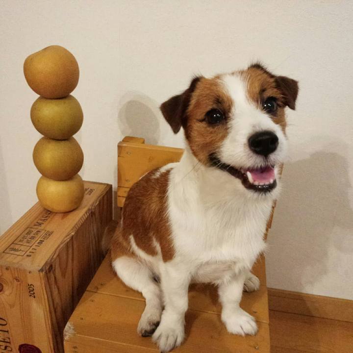 42d8b0c8 37f5 4a82 838e c0ae10245120