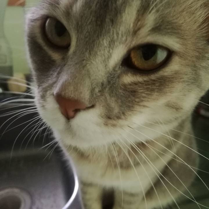 42d8bdb5 2e24 425d 84ee ab9c76d92a62